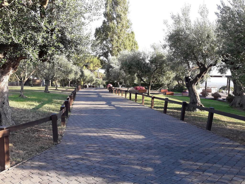 Villa Agriturismo La Vite E Gli Ulivi Ariccia Exterior foto